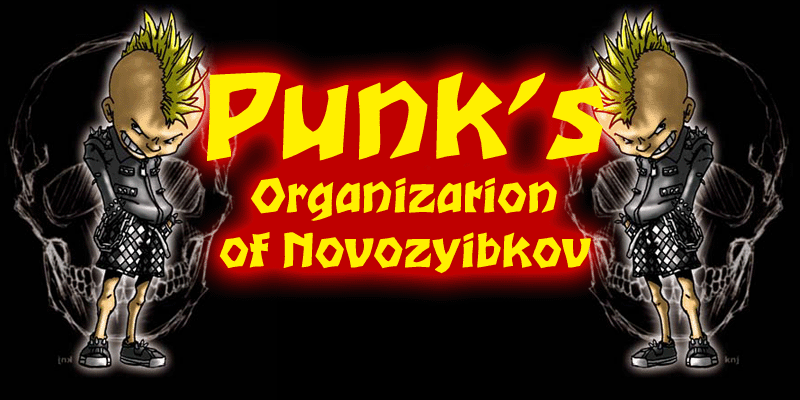 Punk's Organization of Novozyibkov